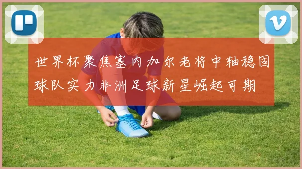 世界杯聚焦塞内加尔老将中轴稳固球队实力非洲足球新星崛起可期