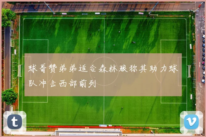 球哥赞弟弟适合森林狼称其助力球队冲击西部前列