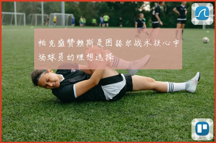 帕克盛赞赖斯是图赫尔战术核心中场球员的理想选择